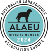 ALAEU logo Official Member 2024 Australian Labradoodle