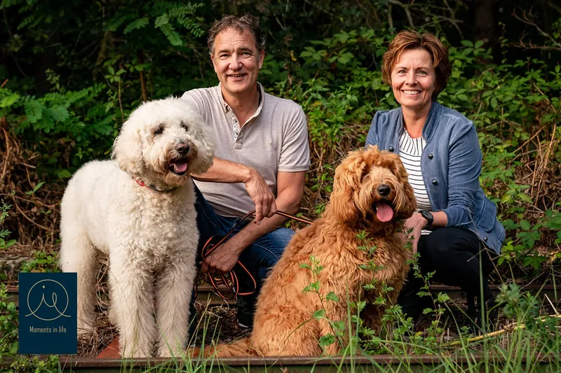 Labradoodle pup leert socialiseren in het gezin